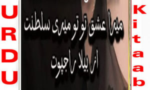 Read more about the article Mera Ishq Tu Tu Meri Saltanat By Bella Rajput Complete Novel