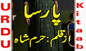 Read more about the article Parsa By Harram Shah Complete Novel