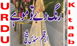 Read more about the article Rang De Tu Mohay By Sundus Shaikh Complete Novel