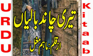 Read more about the article Teri Chand Baliyan By Maham Mughal Complete Novel