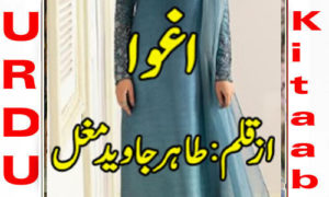Read more about the article Aghwa By Ayuq Bukhari Complete Novel