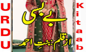 Read more about the article Bebasi By Bint e Ahmed Complete Novel