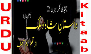 Read more about the article Dastaan E Shah O Malik By Sam Asif Season 2 Complete Novel