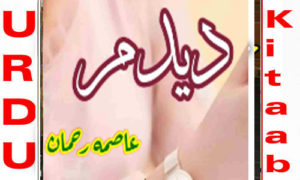 Read more about the article Dedum by Aasmah Rehman Complete Novel
