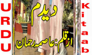 Read more about the article Deedum By Asma Rehman Complete Novel