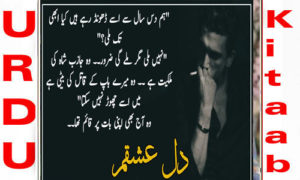 Read more about the article Dil e Ishqam By Farwa Noor Complete Novel