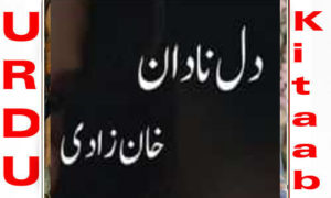Read more about the article Dil e Nadan By Khanzadi Complete Novel