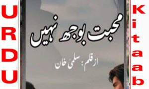 Read more about the article Mohabbat Bojh Nahi By Salma Khan Complete Novel
