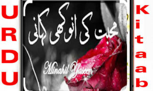 Read more about the article Mohabbat Ki Anokhi Kahani By Minahil Yaseen Complete Novel