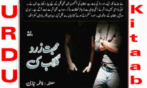 Read more about the article Mohabbat Zard Gulab Si By Fatima Niazi Complete Novel