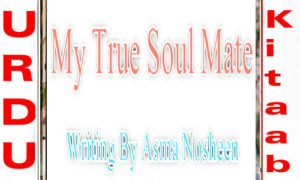 Read more about the article My True Soul Mate By Asma Nosheen Complete Novel
