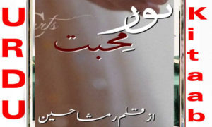 Read more about the article Noor E Muhabbat By Ramsha Hussain Complete Novel