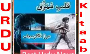 Read more about the article Qalb E Mumazaq By Mirza Nigar Saif Complete Novel