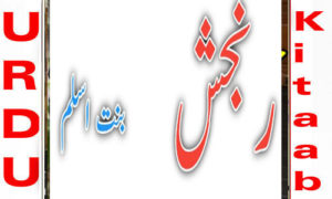 Read more about the article Rangish By Bint E Aslam Complete Novel