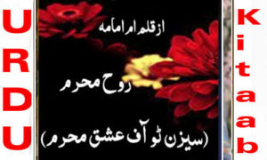 Read more about the article Rooh E Mehram By Umm E Omama Season 2 Complete Novel