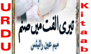 Read more about the article Teri Ulfat Main Sanam By Meem Ain Complete Novel