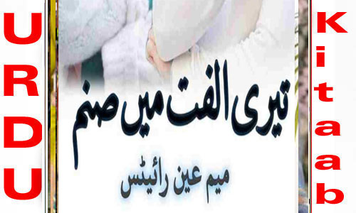 Teri Ulfat Main Sanam By Meem Ain Complete Novel