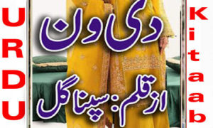 Read more about the article The One By Sapna Gul Complete Novel