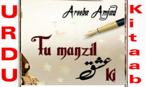 Read more about the article Tu Manzil Ishq Ki By Areeba Amjad Complete Novel