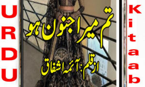 Read more about the article Tum Mera Junoon Ho By Aima Ashfaq Part 1 Complete Novel