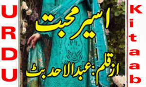 Read more about the article Aseer E Mohabbat By AbdulAhad Butt Complete Novel
