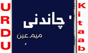 Read more about the article Chandni By Meem Ainn Complete Novel