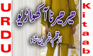 Read more about the article Heer Heer Na Akho Aryo By Samreen Shah Complete Novel