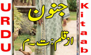 Read more about the article Junoon by TM Complete Novel