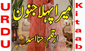 Read more about the article Mera Pehla Junoon By Hina Asad Complete Novel