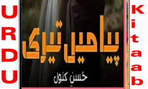 Read more about the article Piya Main Teri By Husny Kanwal Complete Novel