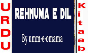 Read more about the article Rehnuma E Dil By Umm E Omama Complete Novel