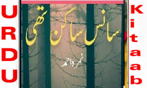 Read more about the article Sans Sakin Thi By Nimra Ahmed Complete Novel
