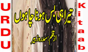 Read more about the article Tera Hi Bas Hona Chaahoon By Sidra Mansoor Complete Novel
