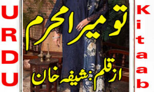 Read more about the article Tu Mera Mehram By Shifa Khan Complete Novel