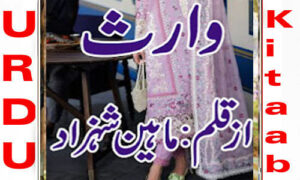 Read more about the article Waris By Maheen Shahzad Complete Novel