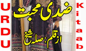Read more about the article Ziddi Mohabbat By Silla Sheikh Complete Novel