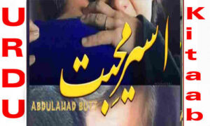 Read more about the article Aseer E Muhabbat By AbdulAhad Butt Complete Novel