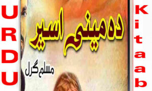 Read more about the article Damini Aseer By Muslim Girl Complete Novel