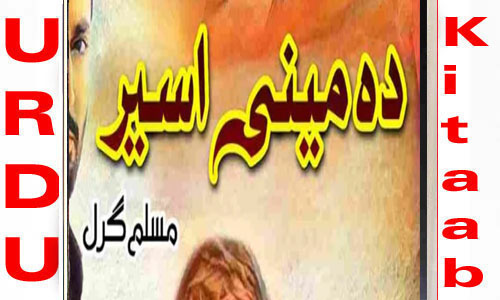 Damini Aseer By Muslim Girl Complete Novel