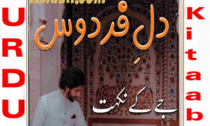 Read more about the article Dil E Firdous By J Nikhat Complete Novel