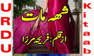 Read more about the article Sheh Maat By Fariha Mirza Part 1 Complete Novel