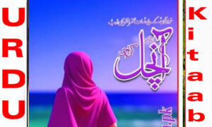 Read more about the article Aanchal Digest December 2024 Read and Download