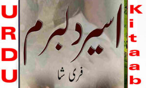 Read more about the article Aseer E Dilbaram By Fari Shah Complete Novel