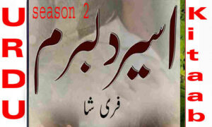 Read more about the article Aseer E Dilbaram By Fari Shah Season 2 Complete Novel