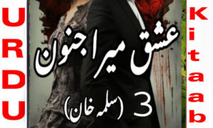 Read more about the article Ishq Mera Junoon By Salma Khan Novel Episode 3