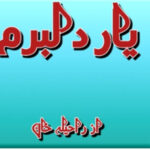 Yaar e Dilbaram By Raheela Khan