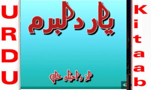 Read more about the article Yaar e Dilbaram By Raheela Khan Complete Novel