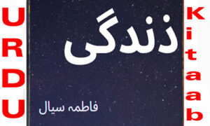 Read more about the article Zindagi By Fatima Sial Novel Episode 11