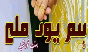 Read more about the article Hum Youn Mile by Bint E Khursheed Complete Novel