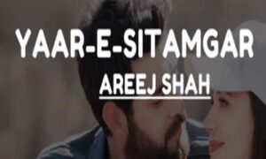 Read more about the article Yaar e Sitamgar By Areej Shah Complete Novel